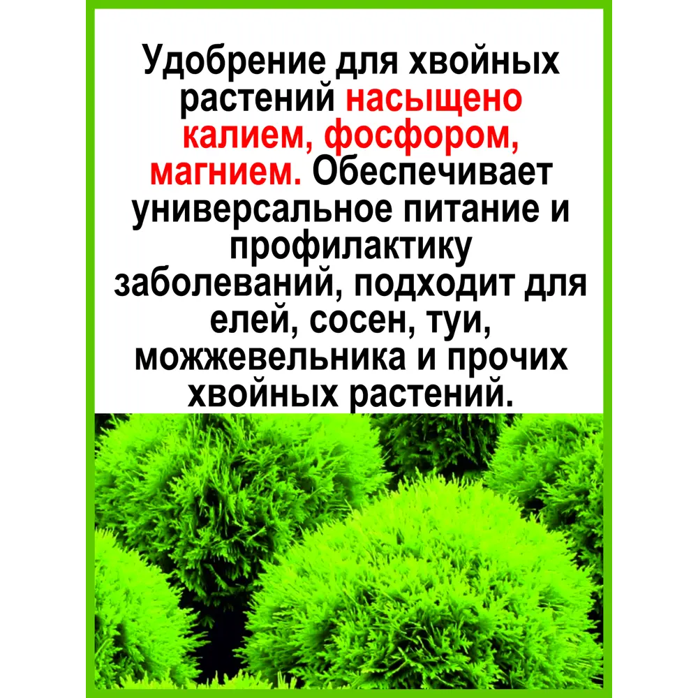 Фото 12 Удобрение для хвойных растений Safora 1 л Фото 12 Удобрение для хвойных растений Safora 1 л