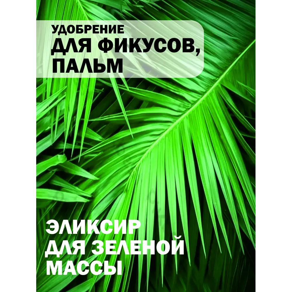Фото 11 Удобрение для фикусов и пальм Safora 250 мл Фото 11 Удобрение для фикусов и пальм Safora 250 мл