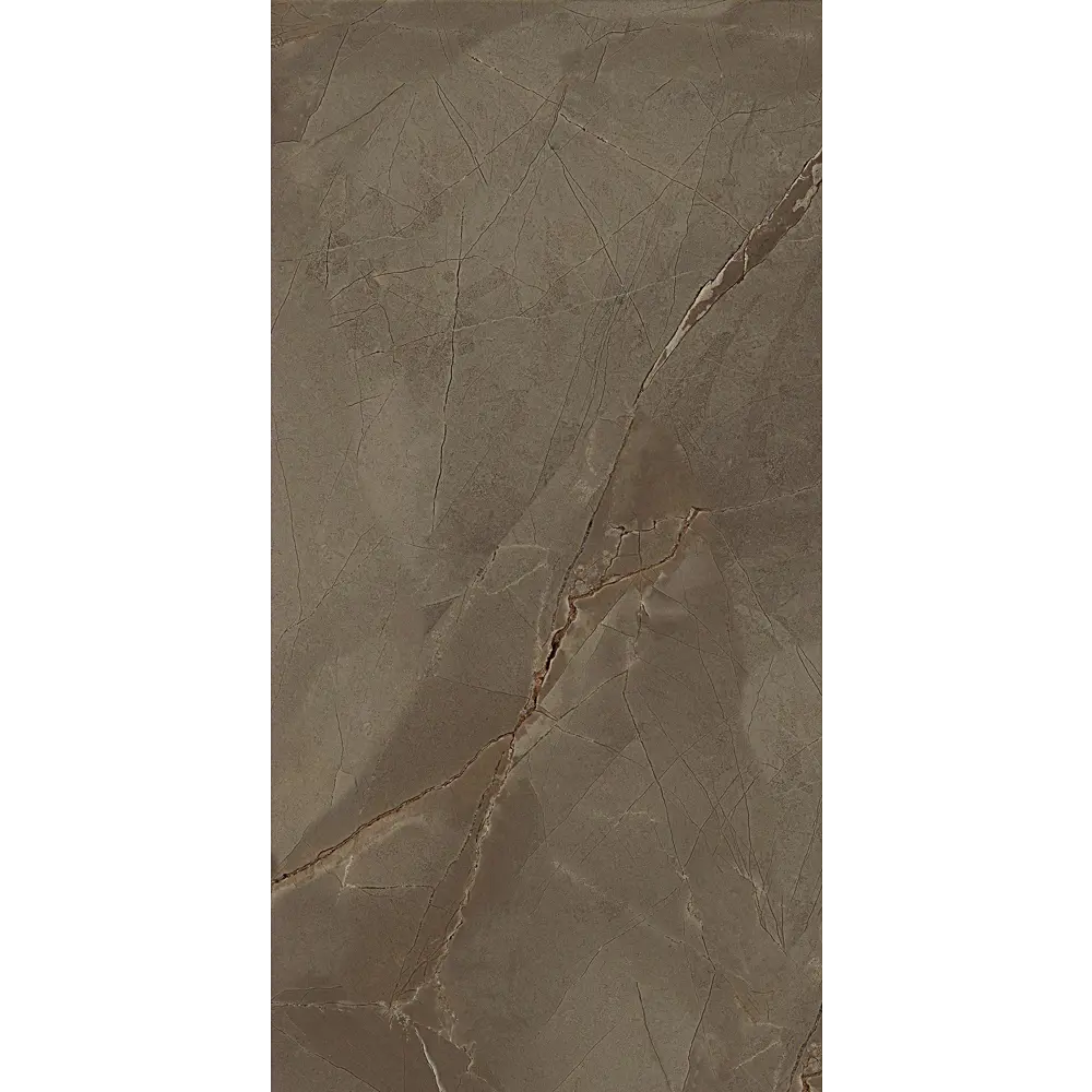 Фото 8 Керамогранит Sal sapiente Big stone BSP 126368 60x120см цвет кофейный Фото 8 Керамогранит Sal sapiente Big stone BSP 126368 60x120см цвет кофейный