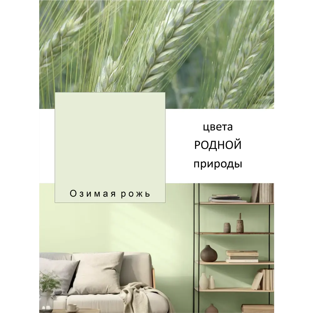 Фото 2 Краска интерьерная Palizh №813 шелковисто-матовая цвет озимая рожь 3.7 кг Фото 2 Краска интерьерная Palizh №813 шелковисто-матовая цвет озимая рожь 3.7 кг