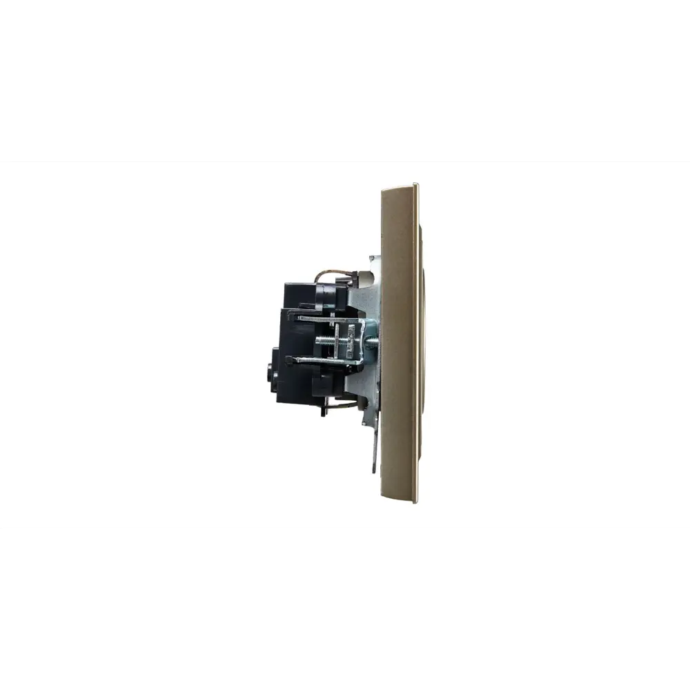 Фото 4 Розетка встраиваемая Iek Brite BR-R10-10-K37-F цвет шампань Фото 4 Розетка встраиваемая Iek Brite BR-R10-10-K37-F цвет шампань