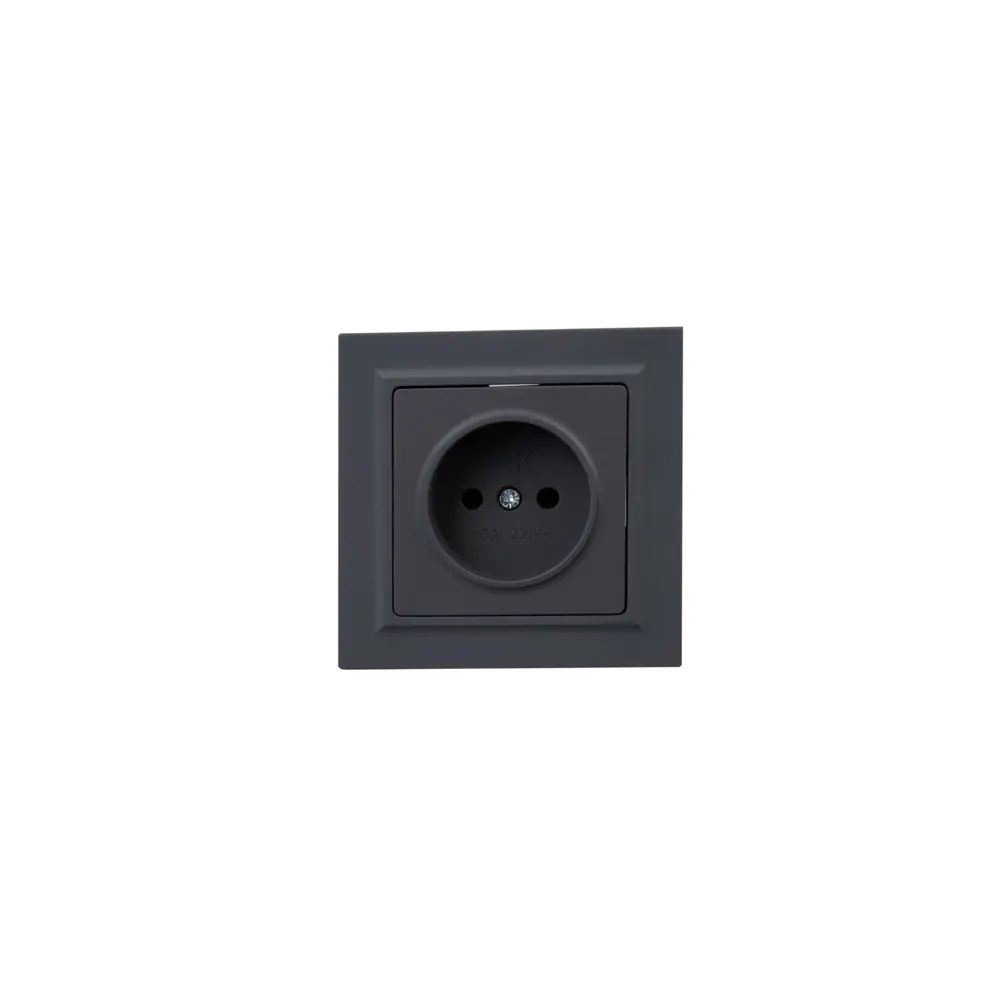 Фото 3 Розетка встраиваемая Iek Brite BR-R10-10-K53-F цвет графит Фото 3 Розетка встраиваемая Iek Brite BR-R10-10-K53-F цвет графит