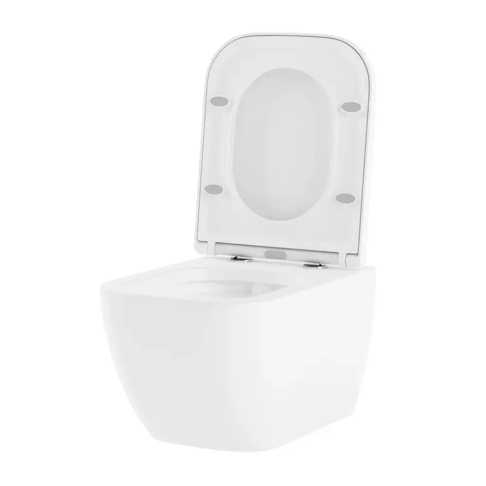 Фото 2 Чаша подвесного унитаза 2 штуки Lavinia Boho One Compacto Комплект 2 в 1 быстросъемное сиденье микролифт из прочного дюропласта Фото 2 Чаша подвесного унитаза 2 штуки Lavinia Boho One Compacto Комплект 2 в 1 быстросъемное сиденье микролифт из прочного дюропласта