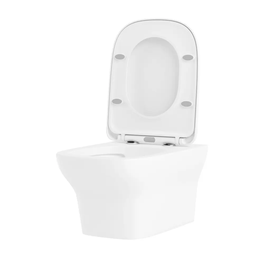 Фото 2 Чаша подвесного унитаза 2 штуки Lavinia Boho Bristol Rimless Комплект 2 в 1 быстросъемное сиденье микролифт из прочного дюропласта Фото 2 Чаша подвесного унитаза 2 штуки Lavinia Boho Bristol Rimless Комплект 2 в 1 быстросъемное сиденье микролифт из прочного дюропласта