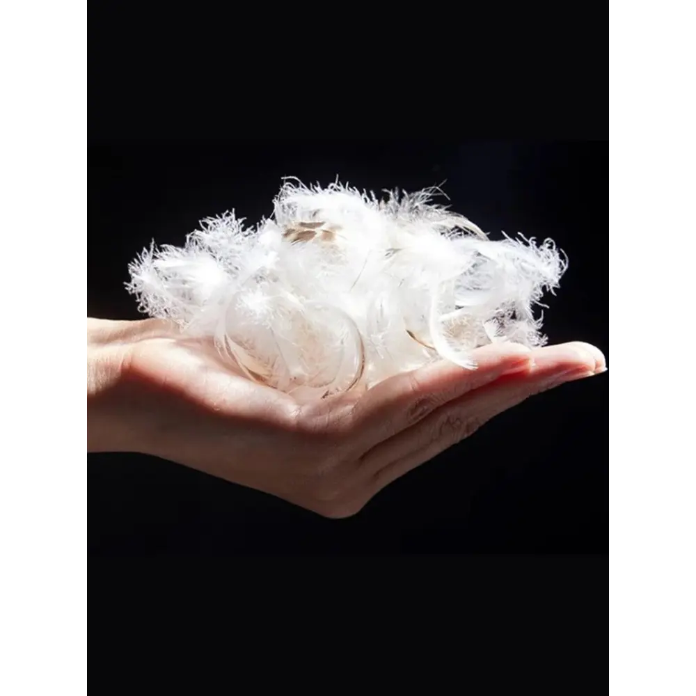 Фото 4 Одеяло Империя сна Гус220 Pomatrasu 200x220см гусиный пух/перо Фото 4 Одеяло Империя сна Гус220 Pomatrasu 200x220см гусиный пух/перо