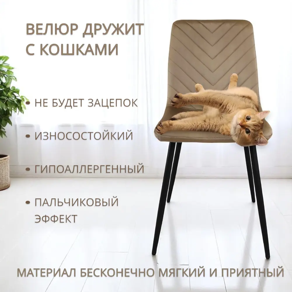 Фото 11 Набор кухонного стола и стульев Dandy best v Терминал 4 стула каркас ЛДСП цвет бежевый Фото 11 Набор кухонного стола и стульев Dandy best v Терминал 4 стула каркас ЛДСП цвет бежевый