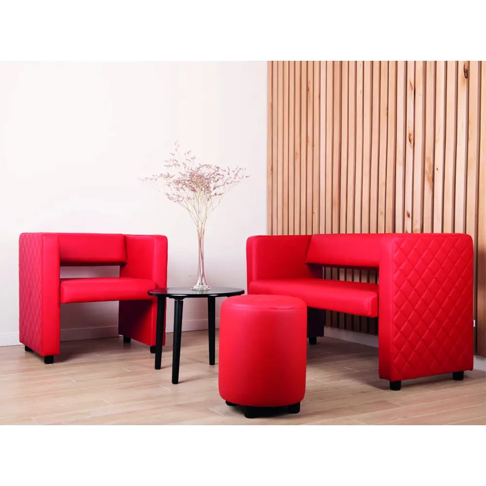 Фото 6 Диван Monofix Dv-yokki-12 122x69x57 см экокожа цвет красный Фото 6 Диван Monofix Dv-yokki-12 122x69x57 см экокожа цвет красный