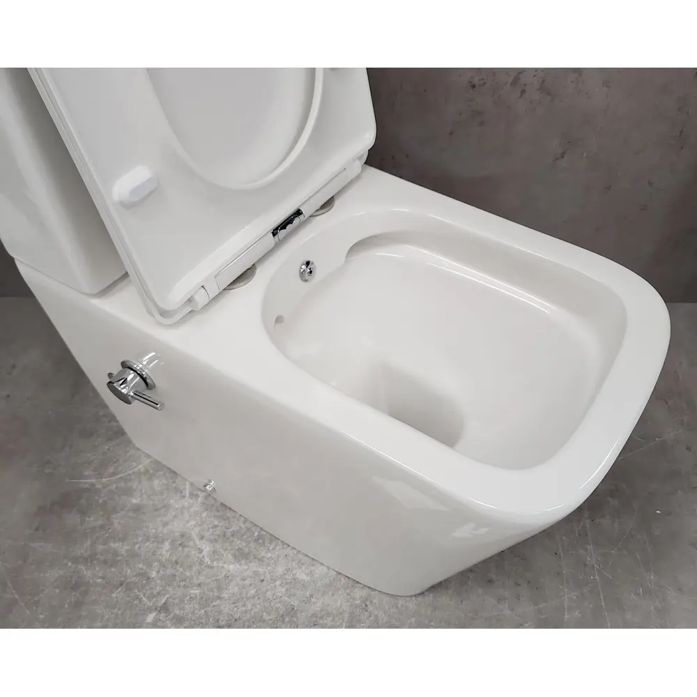Фото 4 Унитаз-компакт Bloomix X-Cube AD3003RSB/UF1 Ceramic+ безободковый с функцией биде и смесителем Фото 4 Унитаз-компакт Bloomix X-Cube AD3003RSB/UF1 Ceramic+ безободковый с функцией биде и смесителем