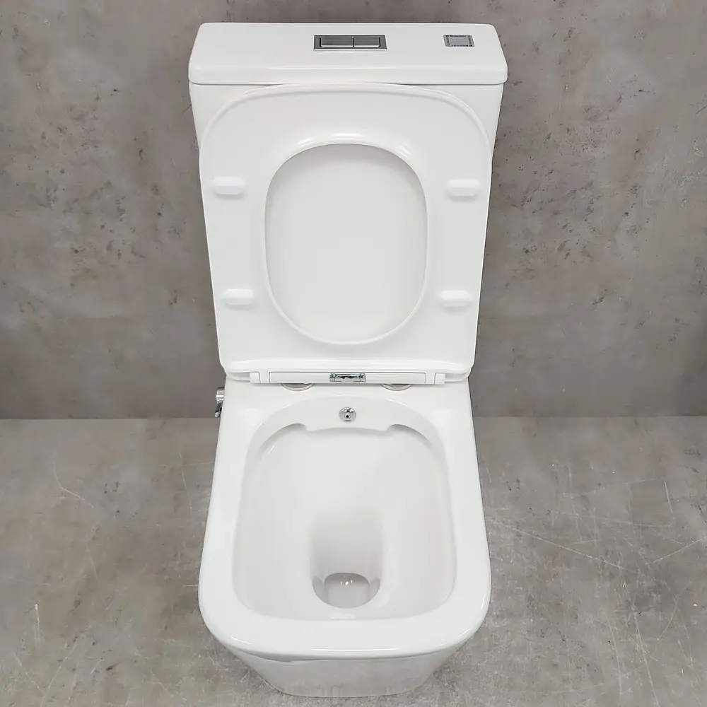 Фото 12 Унитаз-компакт Bloomix X-Cube AD3003RSB/UF1 Ceramic+ безободковый с функцией биде и смесителем Фото 12 Унитаз-компакт Bloomix X-Cube AD3003RSB/UF1 Ceramic+ безободковый с функцией биде и смесителем