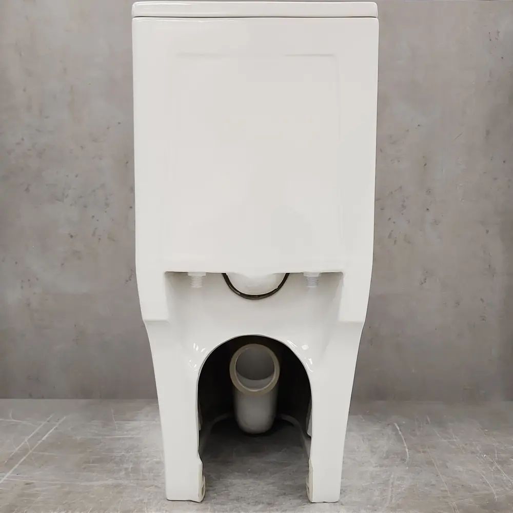 Фото 14 Унитаз Bloomix S-Line 2325T/UF1 Ceramic+ моноблок безободковый торнадо Фото 14 Унитаз Bloomix S-Line 2325T/UF1 Ceramic+ моноблок безободковый торнадо
