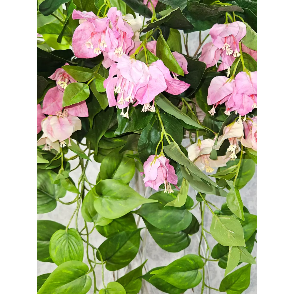 Фото 3 Искусственное растение Фитопарк Бугенвиллия и Сциндапсус в кашпо 100 см Фото 3 Искусственное растение Фитопарк Бугенвиллия и Сциндапсус в кашпо 100 см