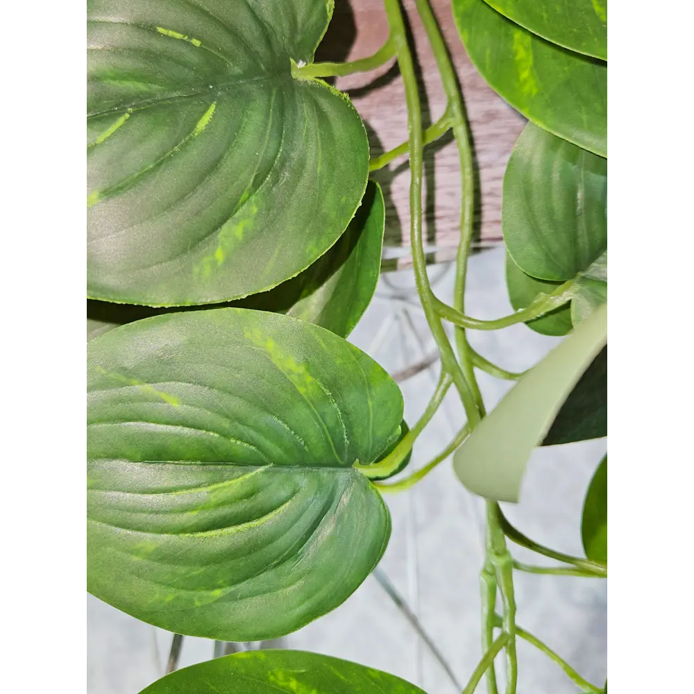 Фото 4 Искусственное растение Фитопарк Бугенвиллия и Сциндапсус в кашпо 100 см Фото 4 Искусственное растение Фитопарк Бугенвиллия и Сциндапсус в кашпо 100 см