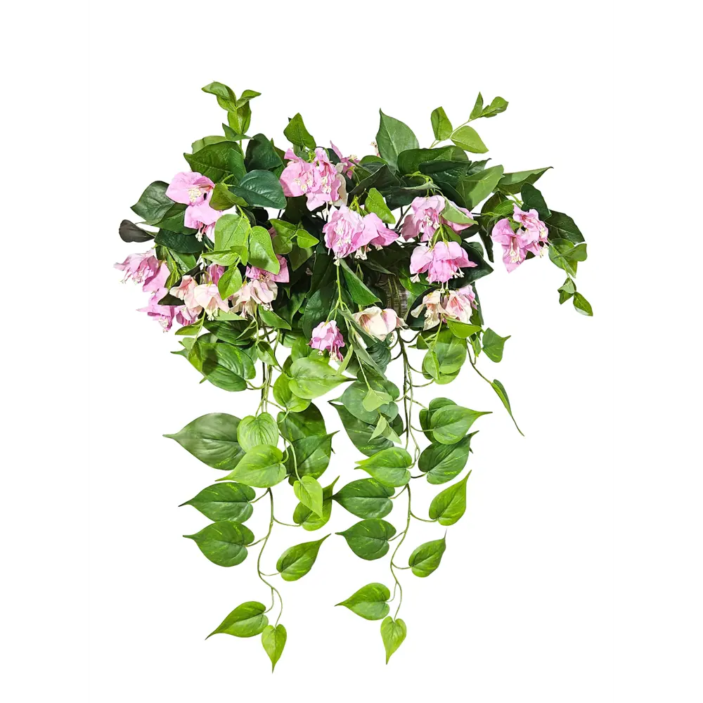 Фото 5 Искусственное растение Фитопарк Бугенвиллия и Сциндапсус в кашпо 100 см Фото 5 Искусственное растение Фитопарк Бугенвиллия и Сциндапсус в кашпо 100 см