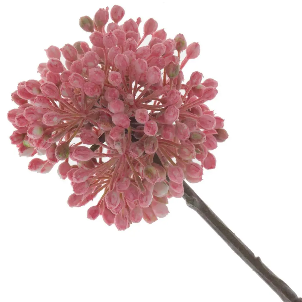 Фото Искусственное растение без горшка Аллиум 795143 55 см Фото Искусственное растение без горшка Аллиум 795143 55 см