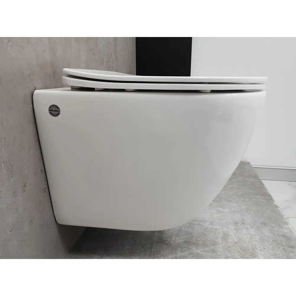 Фото 7 Комплект инсталляция Geberit 458.128.21.1 с унитазом Bloomix Trend 3.0 AD1203T/UF1 безободковый торнадо Ceramic с сиденьем Фото 7 Комплект инсталляция Geberit 458.128.21.1 с унитазом Bloomix Trend 3.0 AD1203T/UF1 безободковый торнадо Ceramic с сиденьем