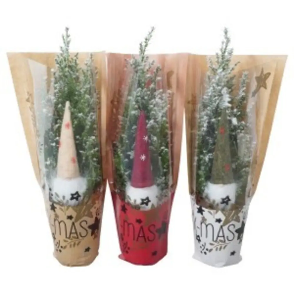 Фото Хвойные деревья Кипарисовик Гном со снегом ø9 h32 см Фото Хвойные деревья Кипарисовик Гном со снегом ø9 h32 см