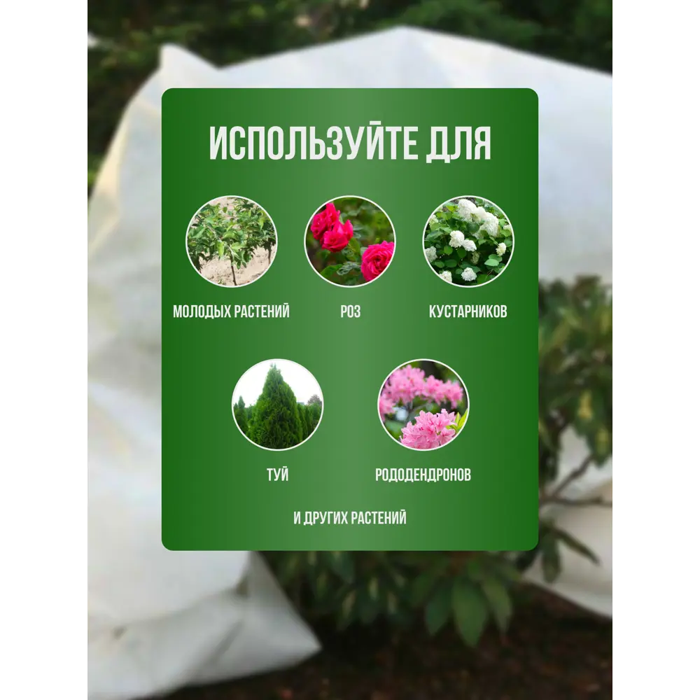 Фото 5 Укрывной материал Геопластборд УБ-00004888-3 60 г/м² 1.2x1.5 м белый спанбонд 3 шт Фото 5 Укрывной материал Геопластборд УБ-00004888-3 60 г/м² 1.2x1.5 м белый спанбонд 3 шт