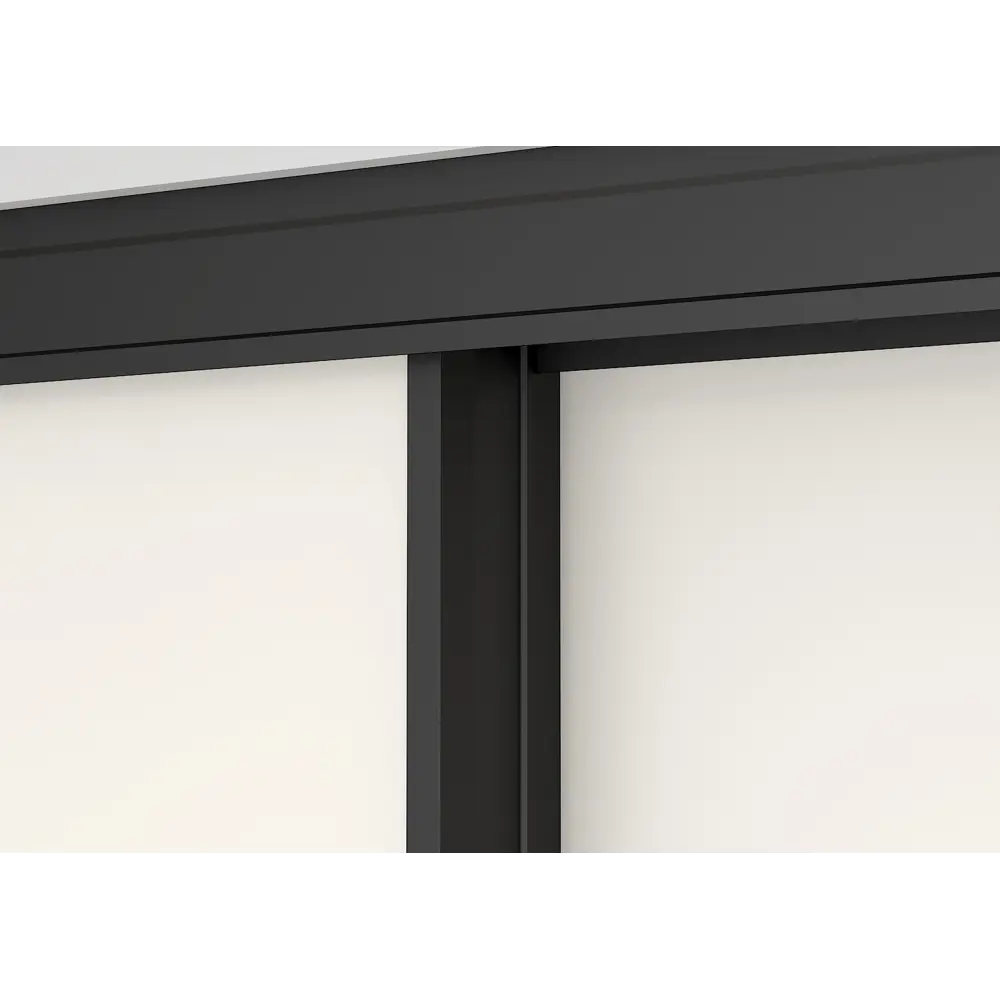 Фото 2 Дверь-купе 225.5x70.4 см зеркало цвет черный узкий профиль Фото 2 Дверь-купе 225.5x70.4 см зеркало цвет черный узкий профиль