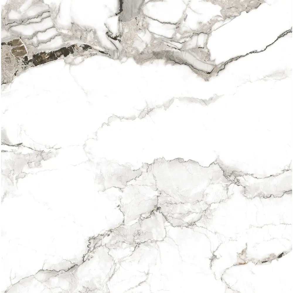 Фото Керамогранит Sal sapiente Art stone PSA 6029 60x60см цвет холодный белый, с ярким рисунком Фото Керамогранит Sal sapiente Art stone PSA 6029 60x60см цвет холодный белый, с ярким рисунком