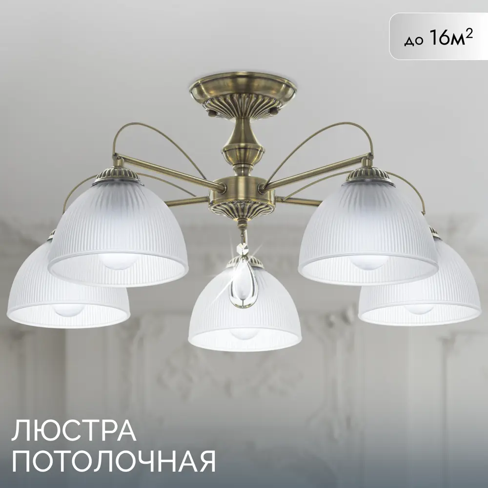 Фото Потолочная люстра Inlux Letra IN40253 5 ламп Е27 цвет бронза Фото Потолочная люстра Inlux Letra IN40253 5 ламп Е27 цвет бронза