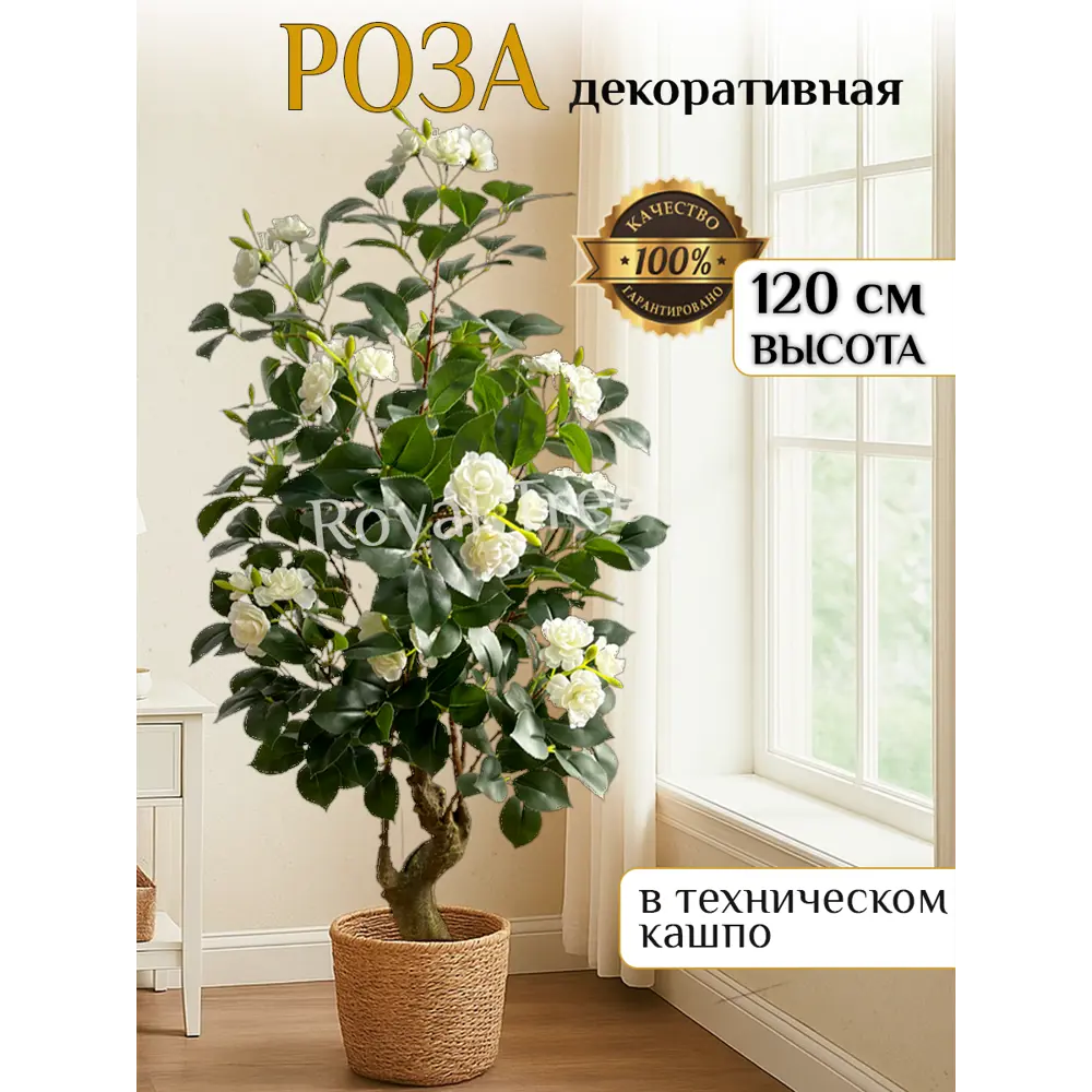 Фото Искусственное растение Royal Trees Роза цвет белый в горшке 120 см