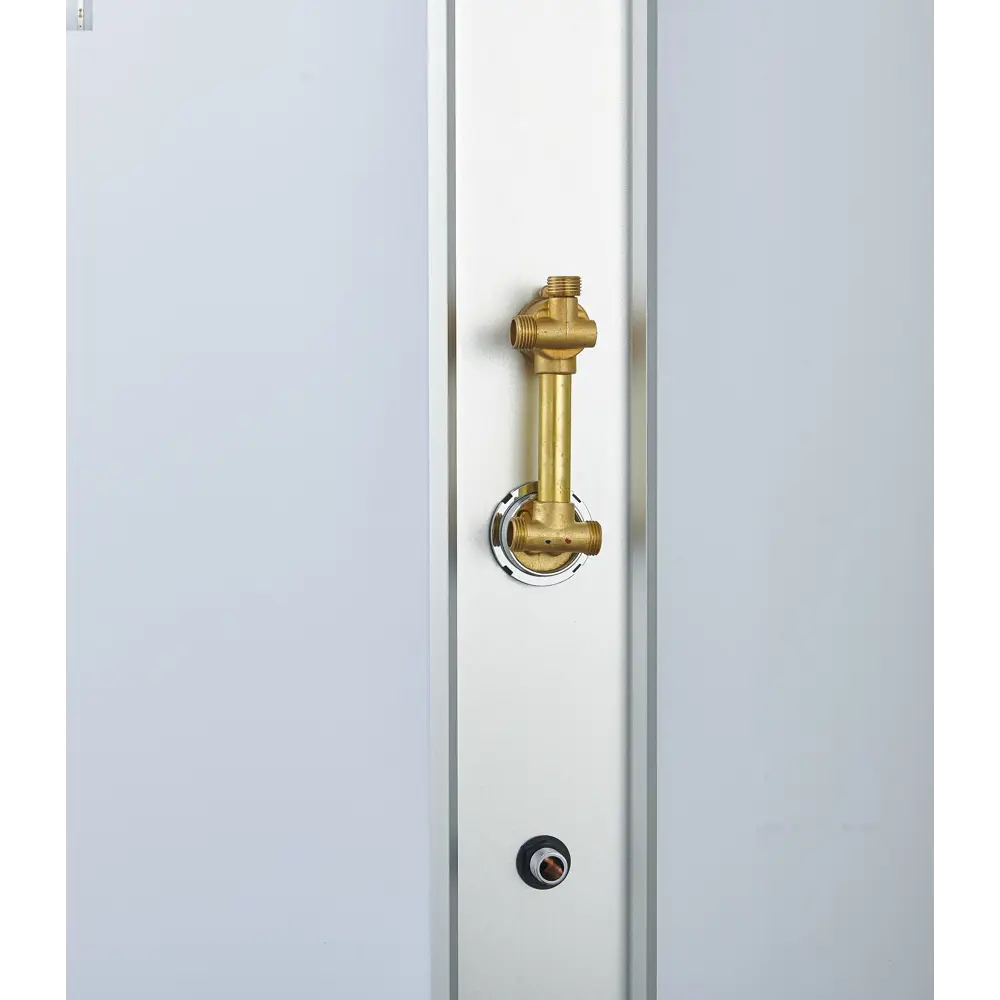 Фото 6 Душевая кабина Timo T-6601 PDS 100x100x220 низкий поддон полукруг