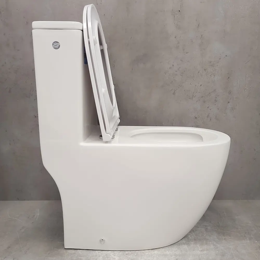 Фото 6 Унитаз-моноблок Bloomix S-Line 3.0 2327T/UF1 моноблок безободковый торнадо Фото 6 Унитаз-моноблок Bloomix S-Line 3.0 2327T/UF1 моноблок безободковый торнадо