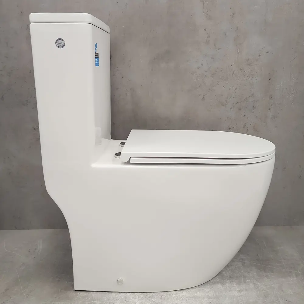 Фото 5 Унитаз-моноблок Bloomix S-Line 3.0 2327T/UF1 моноблок безободковый торнадо Фото 5 Унитаз-моноблок Bloomix S-Line 3.0 2327T/UF1 моноблок безободковый торнадо