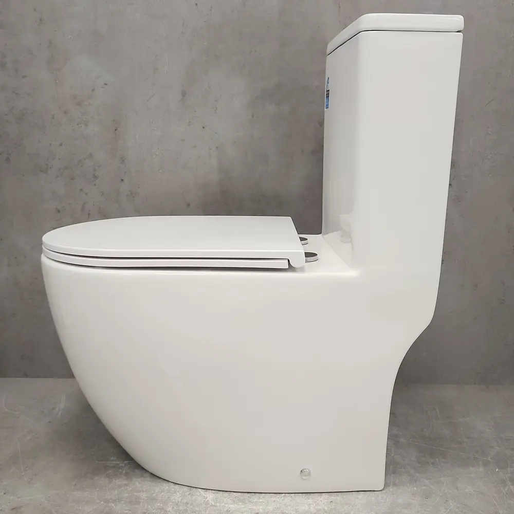 Фото 8 Унитаз-моноблок Bloomix S-Line 3.0 2327T/UF1 моноблок безободковый торнадо Фото 8 Унитаз-моноблок Bloomix S-Line 3.0 2327T/UF1 моноблок безободковый торнадо