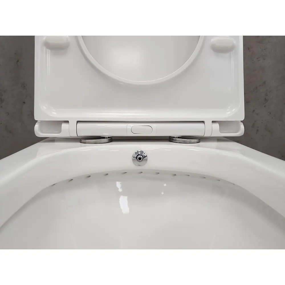 Фото 13 Унитаз-компакт Bloomix Barron AD3091RSB/UF1 Ceramic+ безободковый с функцией биде и смесителем Фото 13 Унитаз-компакт Bloomix Barron AD3091RSB/UF1 Ceramic+ безободковый с функцией биде и смесителем