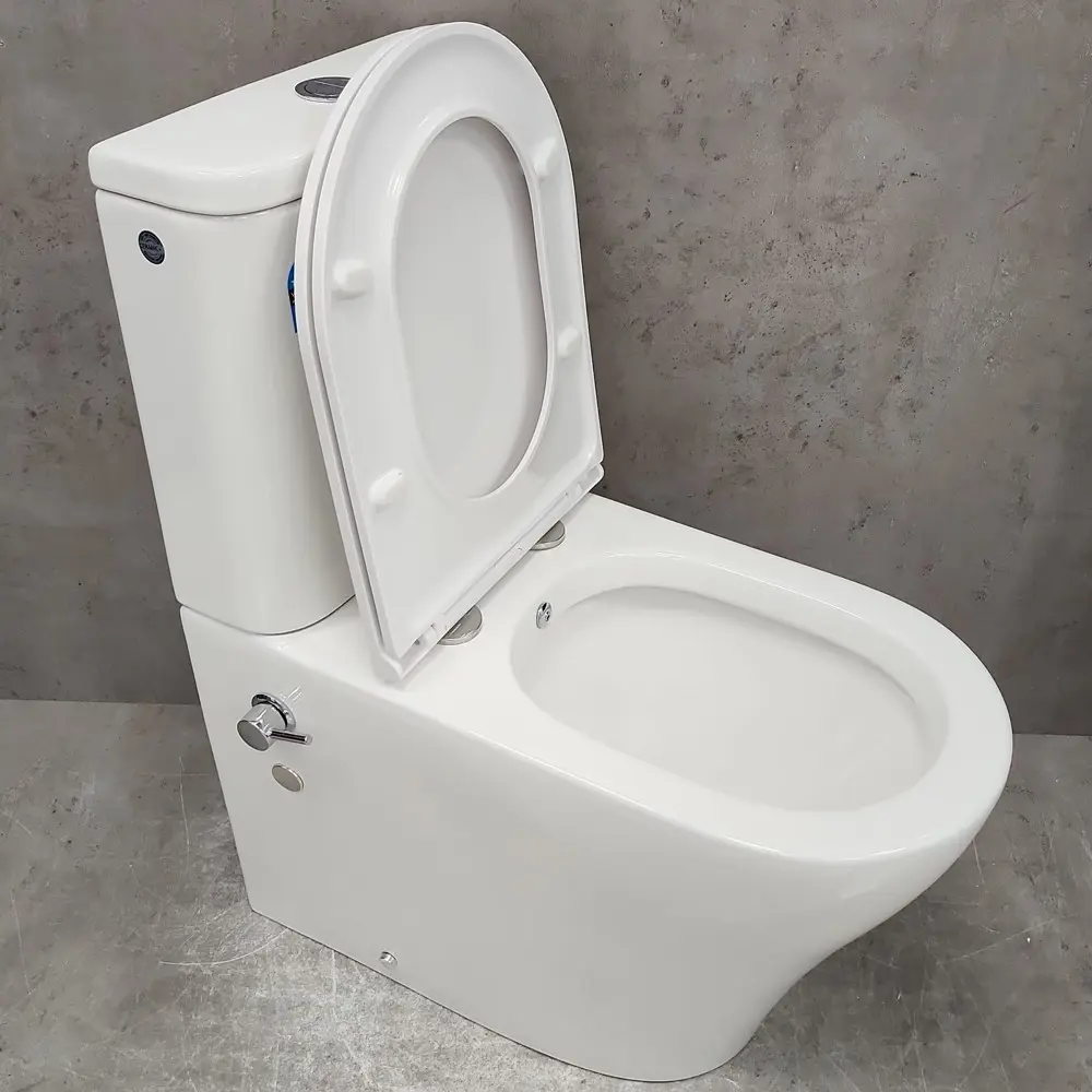 Фото 2 Унитаз-компакт Bloomix Barron AD3091RSB/UF1 Ceramic+ безободковый с функцией биде и смесителем Фото 2 Унитаз-компакт Bloomix Barron AD3091RSB/UF1 Ceramic+ безободковый с функцией биде и смесителем