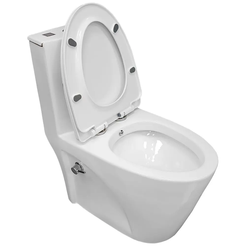 Фото Унитаз-моноблок Bloomix Mono MD5015SB моноблок безободковый с функцией биде и смесителем Фото Унитаз-моноблок Bloomix Mono MD5015SB моноблок безободковый с функцией биде и смесителем