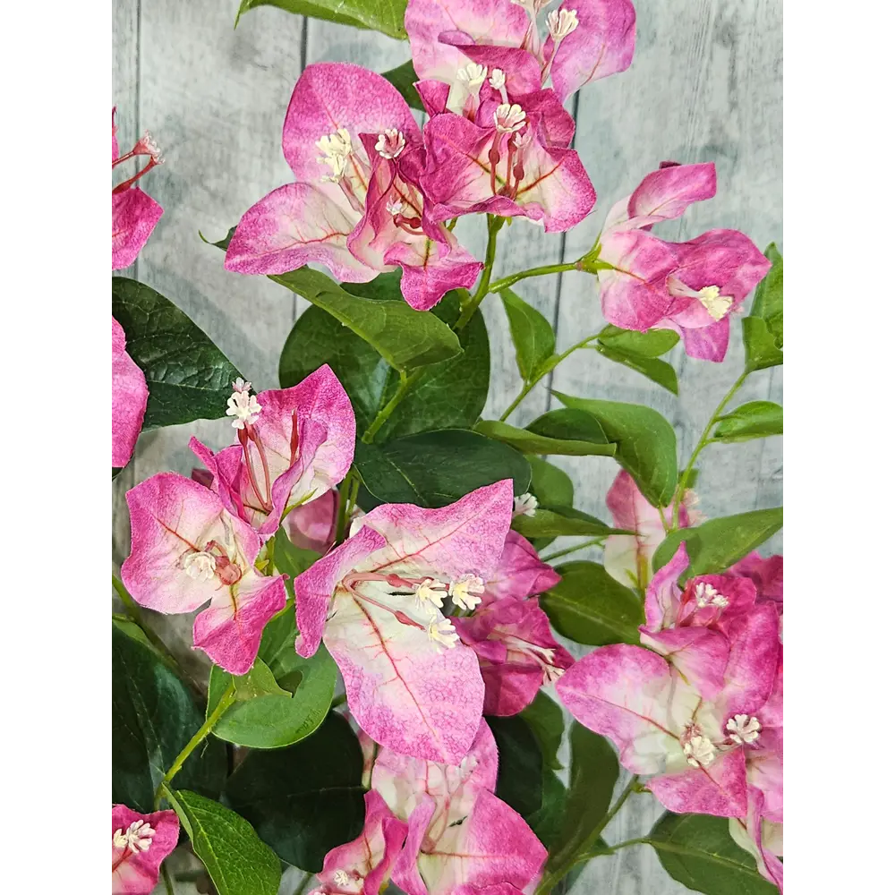 Фото 2 Искусственное растение Фитопарк Бугенвиллия лиловая в кашпо 70 см