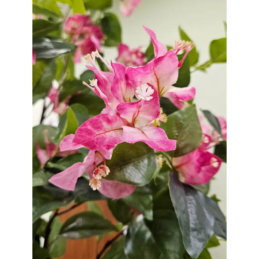 Фото 6 Искусственное растение Фитопарк Бугенвиллия малиновая в кашпо 150 см