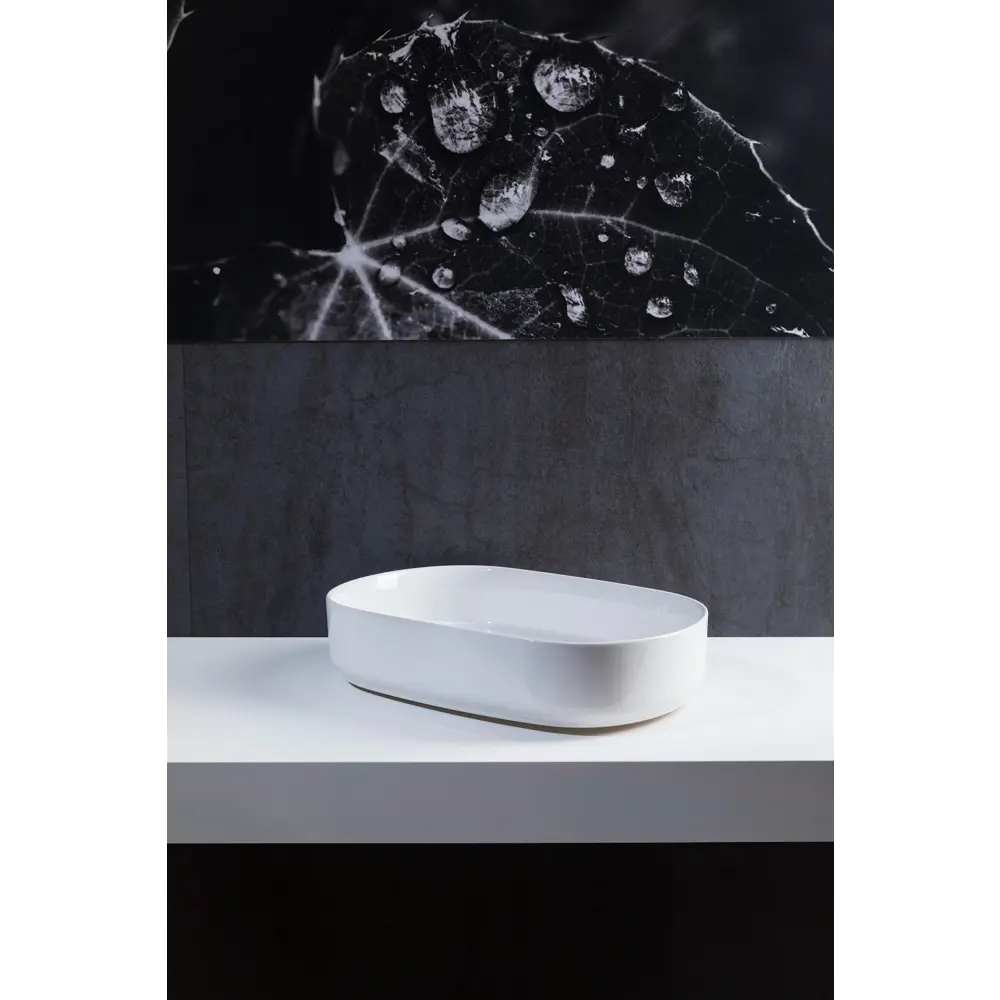 Фото 4 Раковина накладная Allen brau fantasy 4.11022.20 55x36см цвет белый Фото 4 Раковина накладная Allen brau fantasy 4.11022.20 55x36см цвет белый