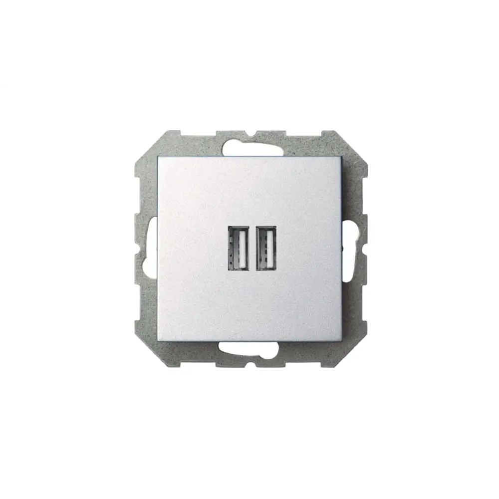 Фото 2 Розетка USB встраиваемая Liregus Epsilon LRG_28-1857 цвет серебро