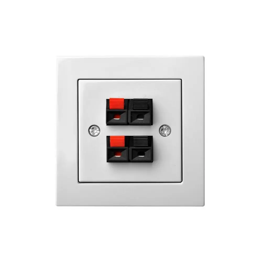 Фото Розетка аудио встраиваемая Liregus Epsilon 28-037 цвет белый