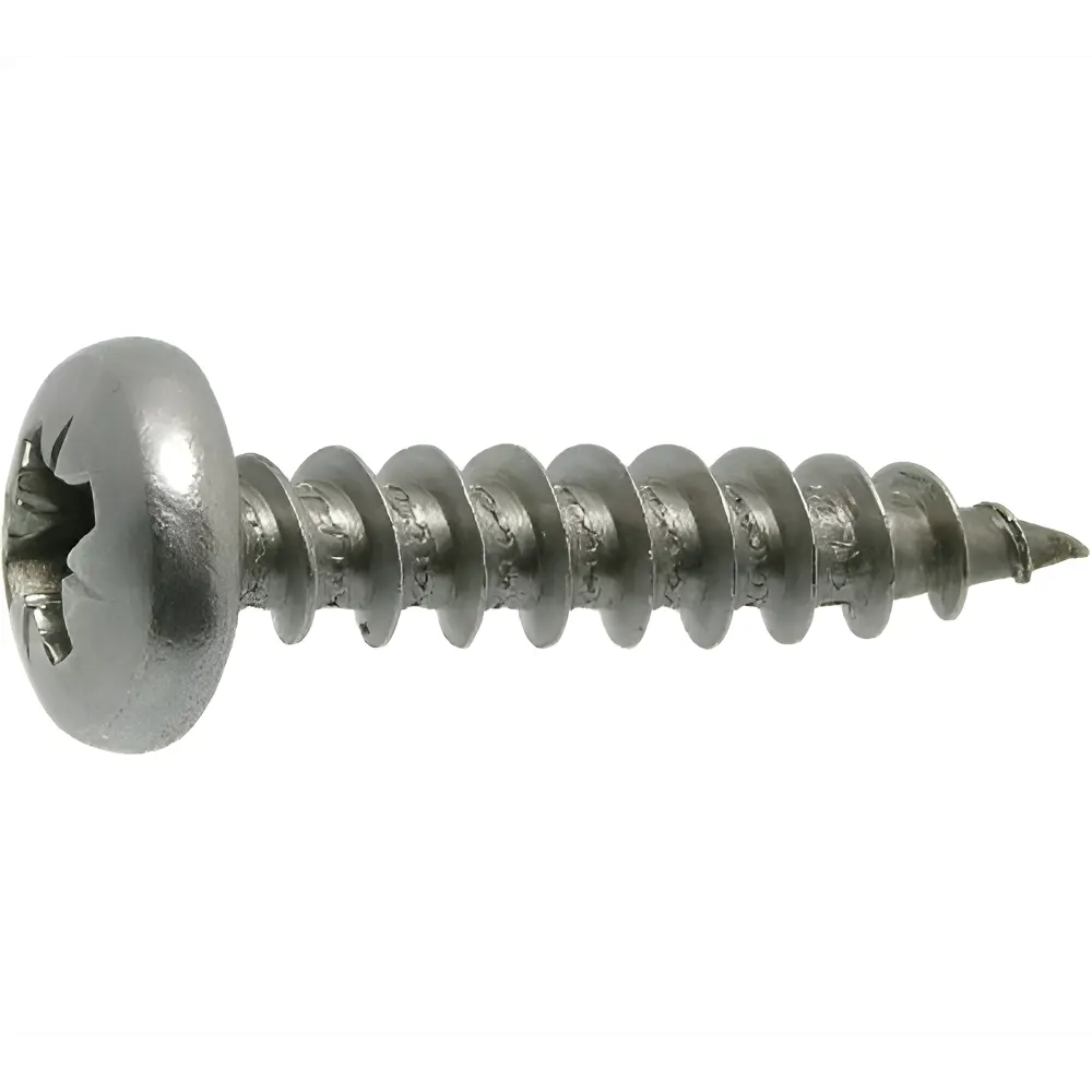 Фото Саморезы универсальные ЦКИ полусферические острые оцинкованные 5x20 мм 200 шт Фото Саморезы универсальные ЦКИ полусферические острые оцинкованные 5x20 мм 200 шт