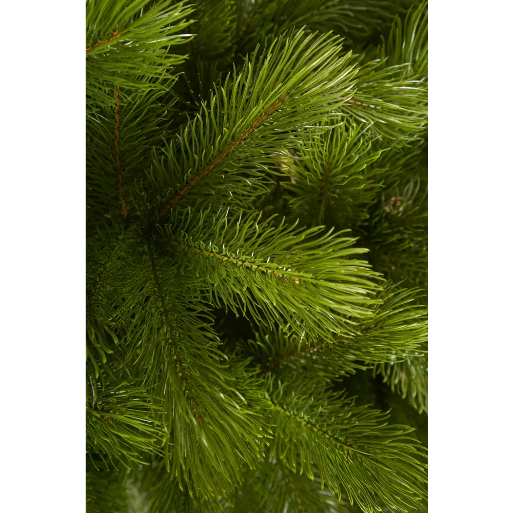 Фото 3 Ель новогодняя искусственная Max Christmas Екрмл 21 Крымская 210 см