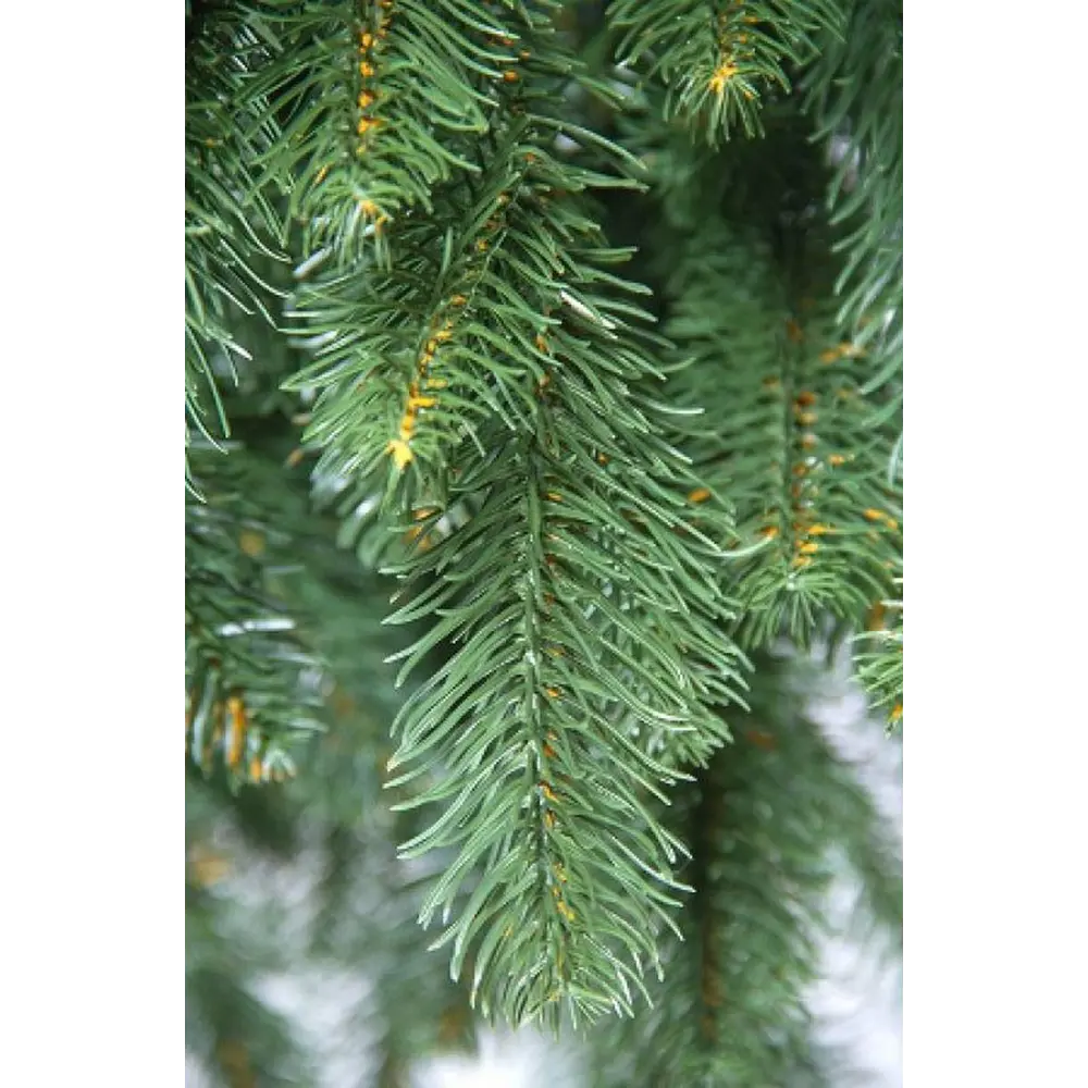 Фото 3 Искусственная елка Max christmas ЕКЛ 27 Купеческая 270 см