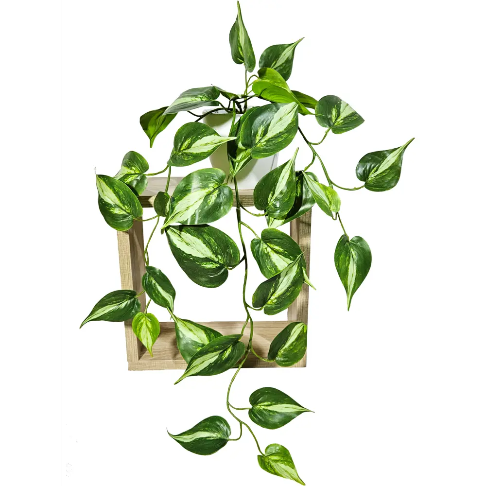 Фото 5 Искусственное растение в горшке ФитоПарк Сциндапсус 50 см цвет зеленый