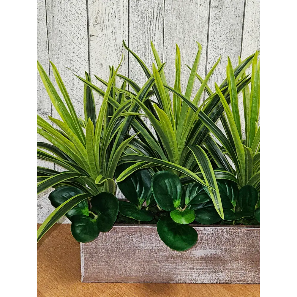 Фото 2 Искусственное растение в горшке ФитоПарк Драцена 30 см цвет зеленый