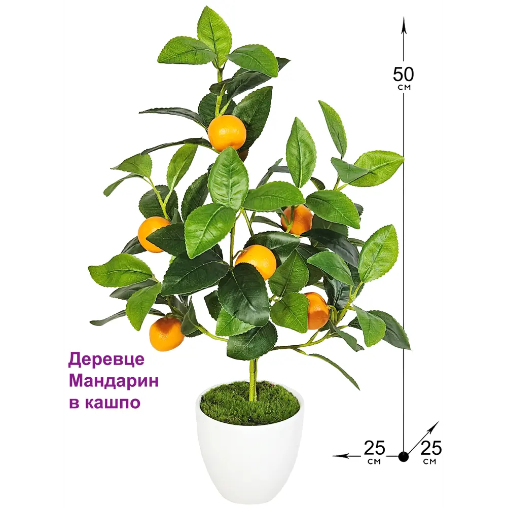 Фото Искусственное растение в горшке ФитоПарк Мандарин 50 см цвет зеленый