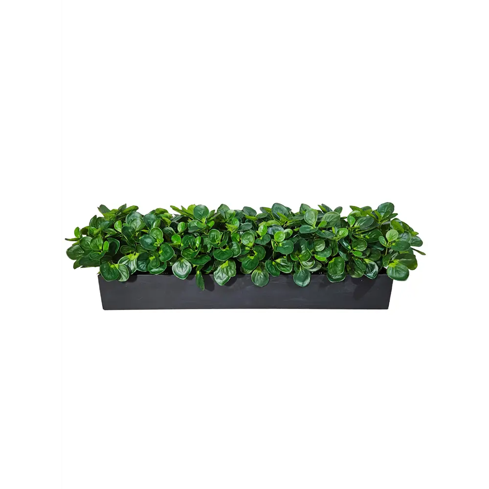 Фото 3 Искусственное растение в горшке ФитоПарк Пеперомия 30 см цвет зеленый