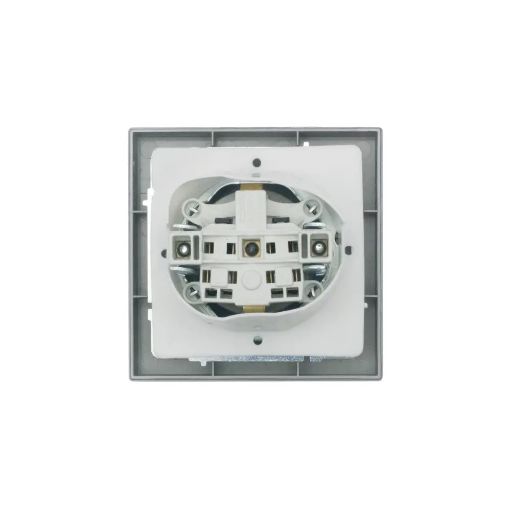 Фото 9 Розетка встраиваемая Lezard Vesna с заземлением с крышкой IP44 цвет платина