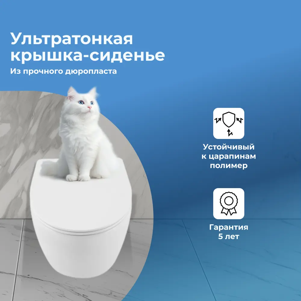 Фото 5 Унитаз подвесной Aquanet 00346759 торнадо безободковый с сиденьем микролифт Фото 5 Унитаз подвесной Aquanet 00346759 торнадо безободковый с сиденьем микролифт