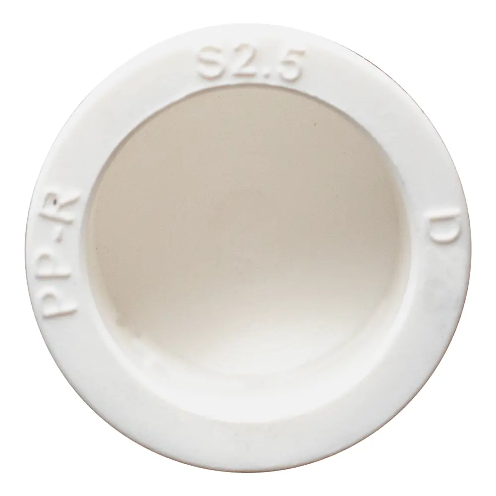 Фото 4 Заглушка СТМ Пласт 20 мм полипропилен 10 шт CPEC0020K10