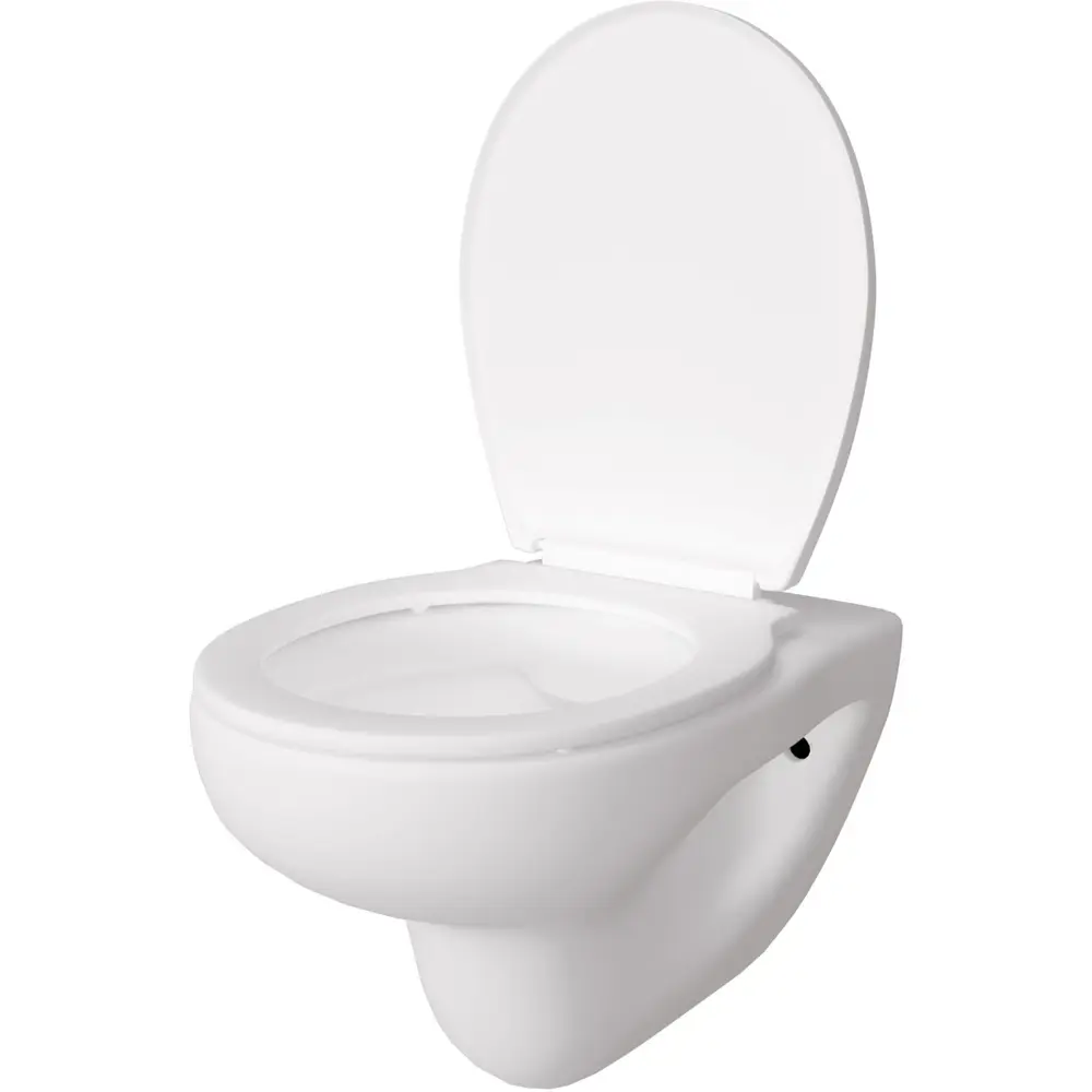 Фото 12 Инсталляция AM.PM I012709.0238 PrimeFit с клавишей слива PrimeFit S матовый черный Alentori FLUIRE 901 унитаз микролифт глянцевый белый Фото 12 Инсталляция AM.PM I012709.0238 PrimeFit с клавишей слива PrimeFit S матовый черный Alentori FLUIRE 901 унитаз микролифт глянцевый белый