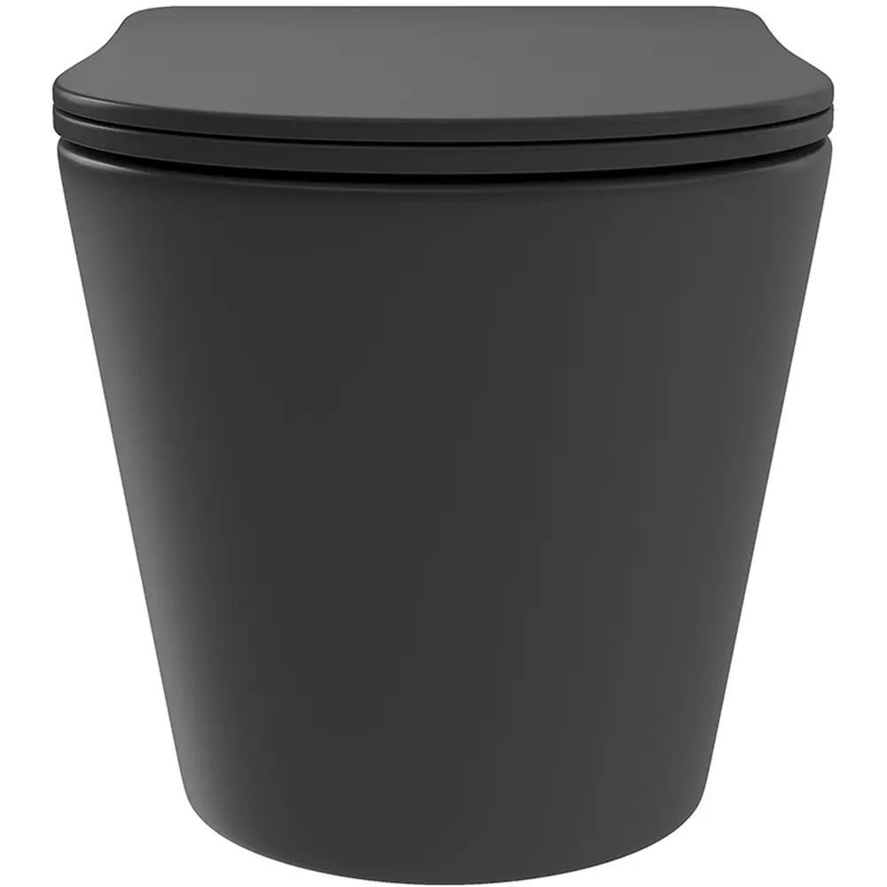 Фото 12 Инсталляция AM.PM I012711.0101 ErgoFit с клавишей слива ErgoFit L пластик глянцевый белый унитаз Long 52x36.5 Vortex Soft-Close матовый черный конус