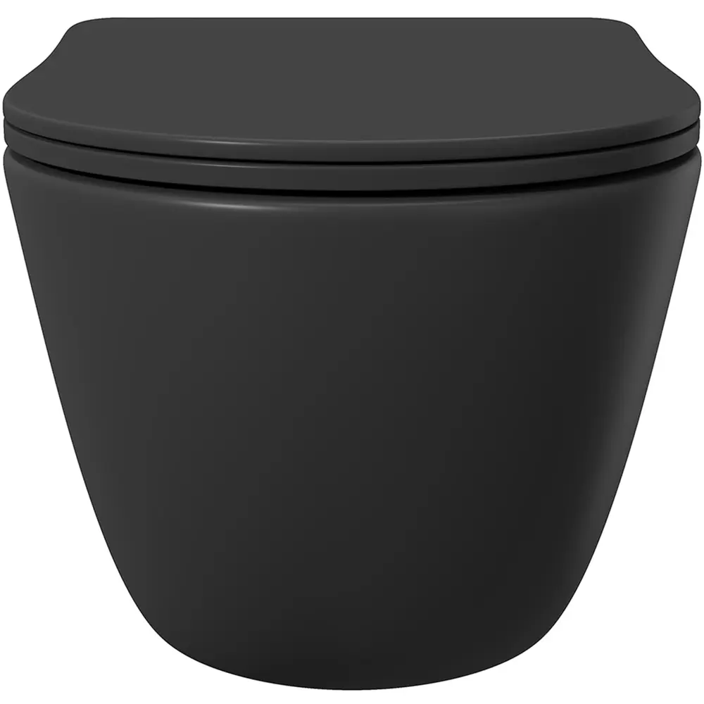Фото 12 Инсталляция AM.PM I012711.0101 ErgoFit с клавишей слива ErgoFit L пластик глянцевый белый унитаз 52.5x36 Soft-Close матовый черный овал